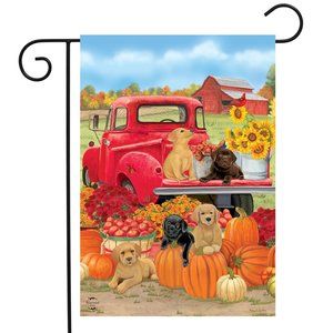 Fall Puppies Garden Flag